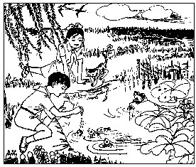 小河的变迁(看图)